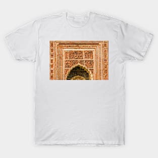 Terracotta Detail 01 T-Shirt